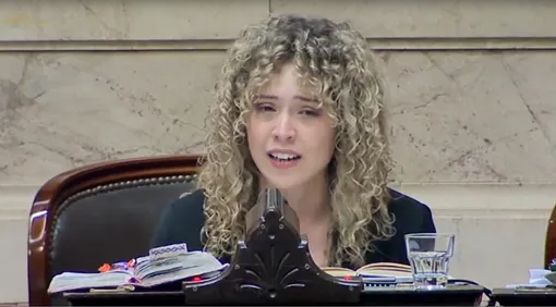 El llanto de Lourdes Arrieta al explicar por qué no dio quórum a la ley de Ficha Limpia