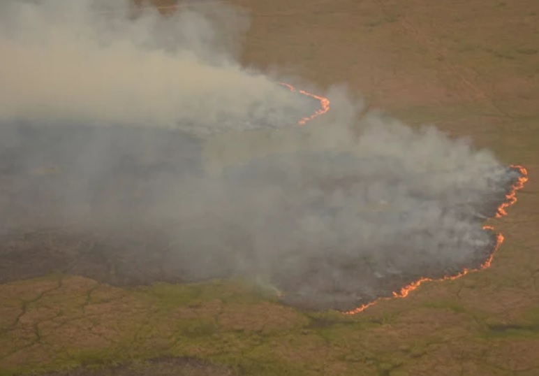 10.000 focos incendio