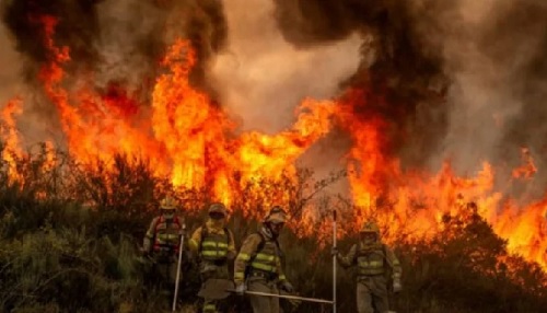 Incendios: 16 casos en la Justicia y hablan de “intención política”
