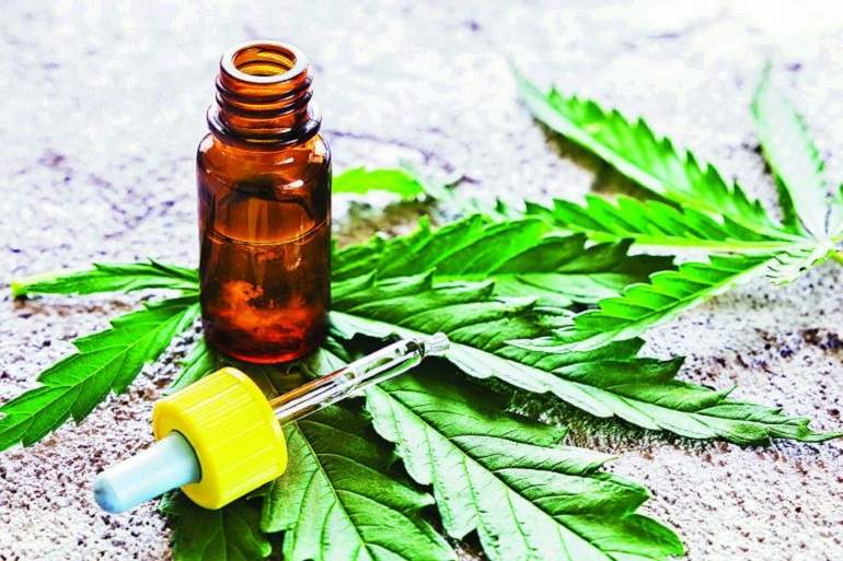 Cannabis 