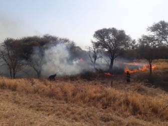 Incendio