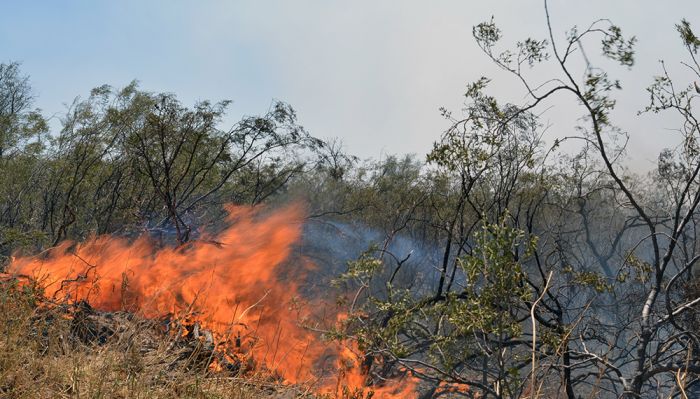 Incendio