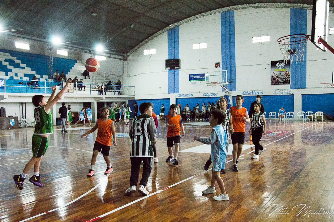 Basquet