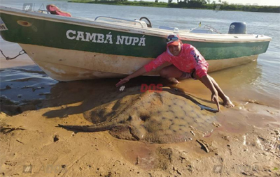 gigante del rio