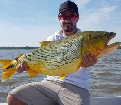 pesca