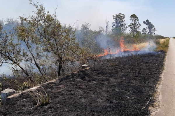 INCENDIOS