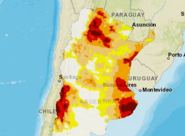 diario primera hora