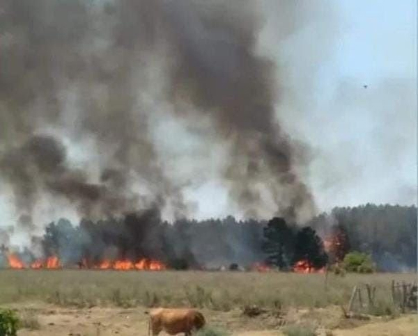 incendios