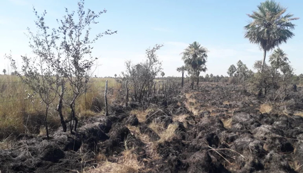 INCENDIOS
