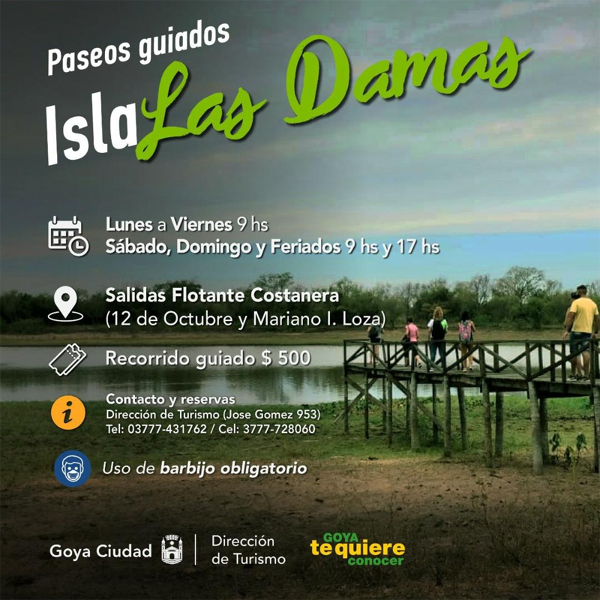 diario primera hora