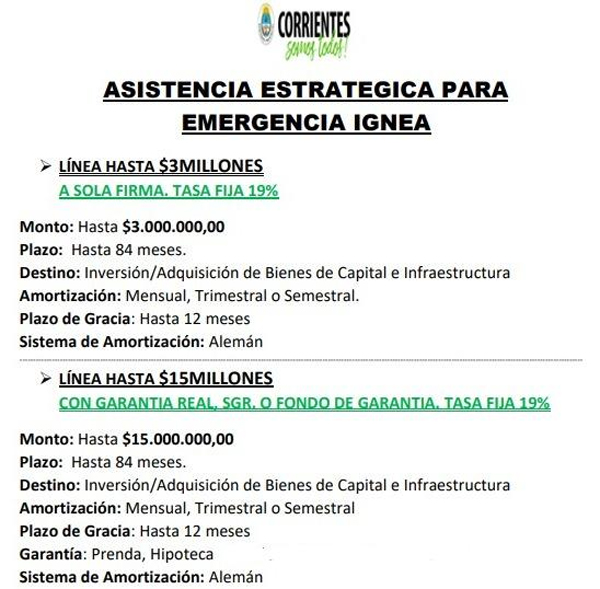 diario primera hora