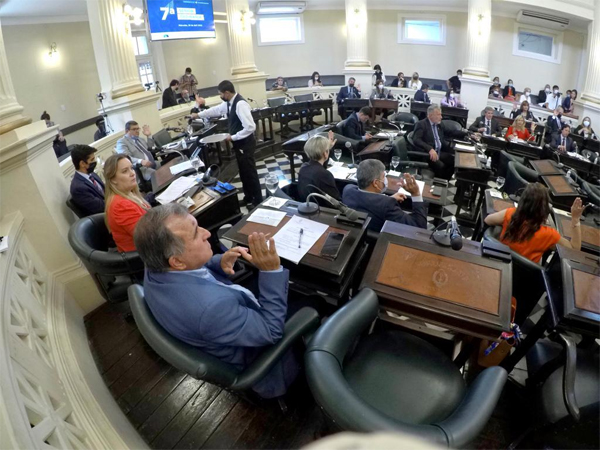 diputados