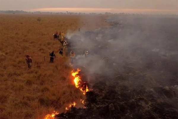 INCENDIOS