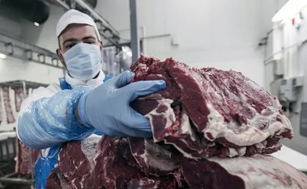 CARNES