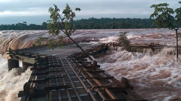 SALTO BOSSETI