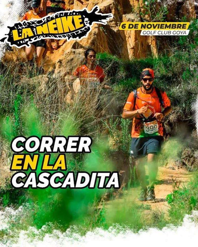 diario primera hora