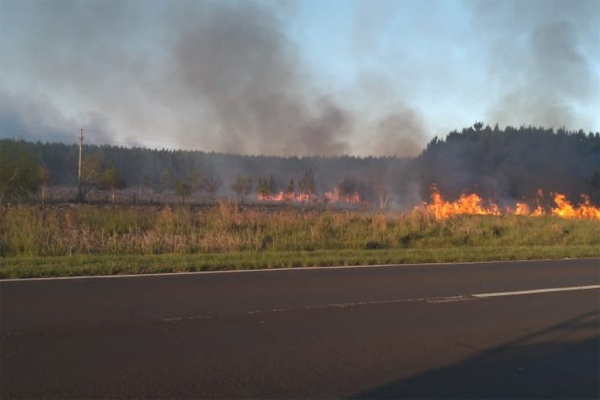 incendios