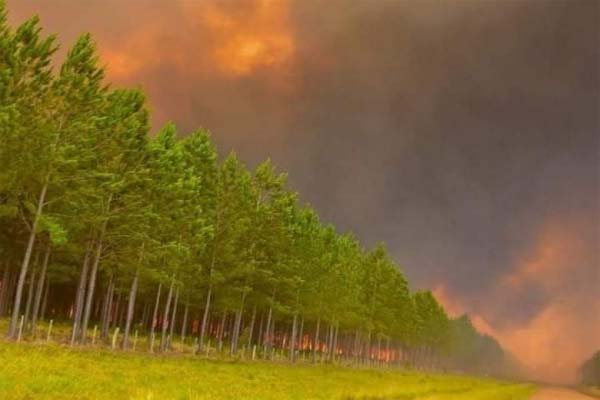 Focos Incendios