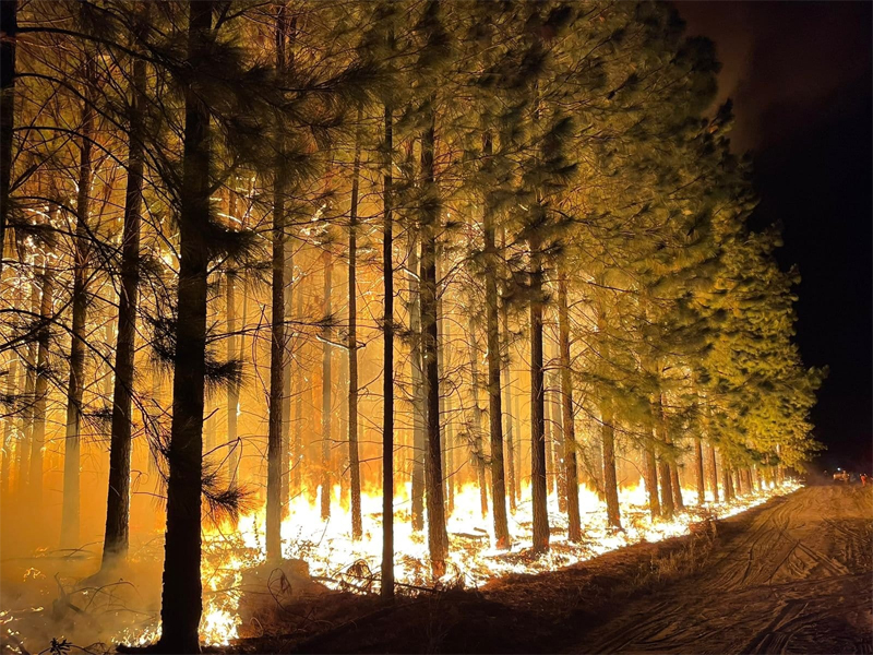incendios