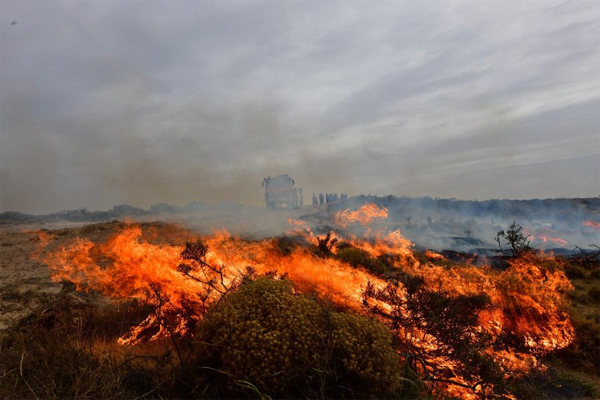 Incendioos