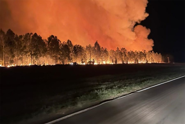 incendios