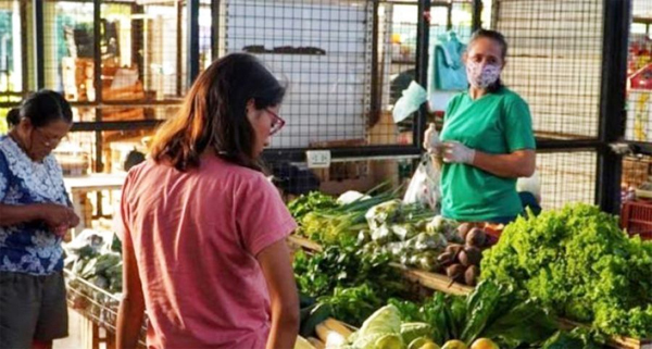 Alimentos