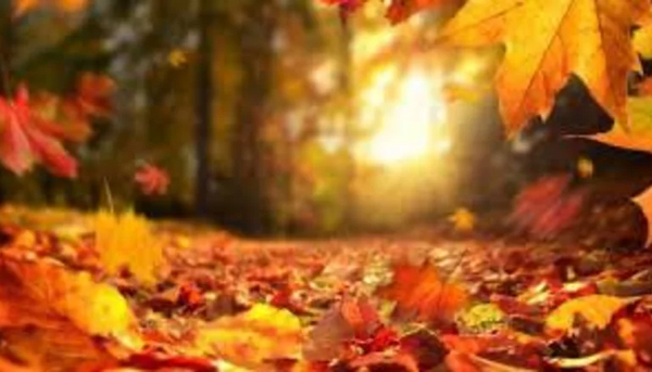 OTOÑO