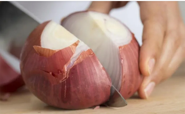 cebolla