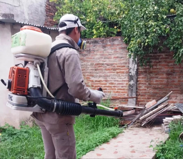 DENGUE