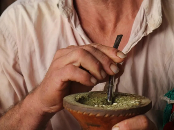 yerba