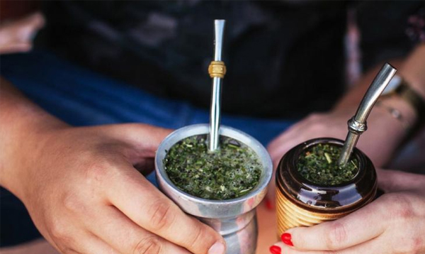 Yerba Mate
