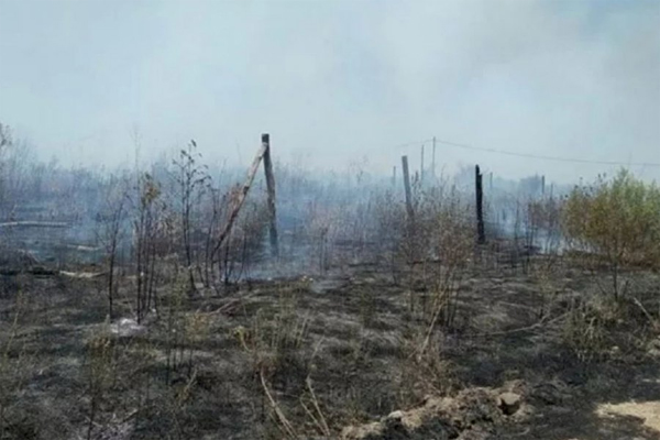 Extinguieron los incendios
