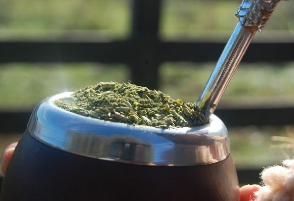 yerba