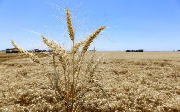 agroexportadores