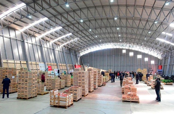 REMATES FRUTIHORTÍCOLAS 