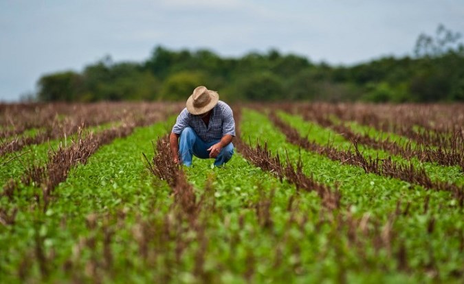 ¡FELIZ DÍA DEL AGRICULTOR Y PRODUCTOR AGROPECUARIO!