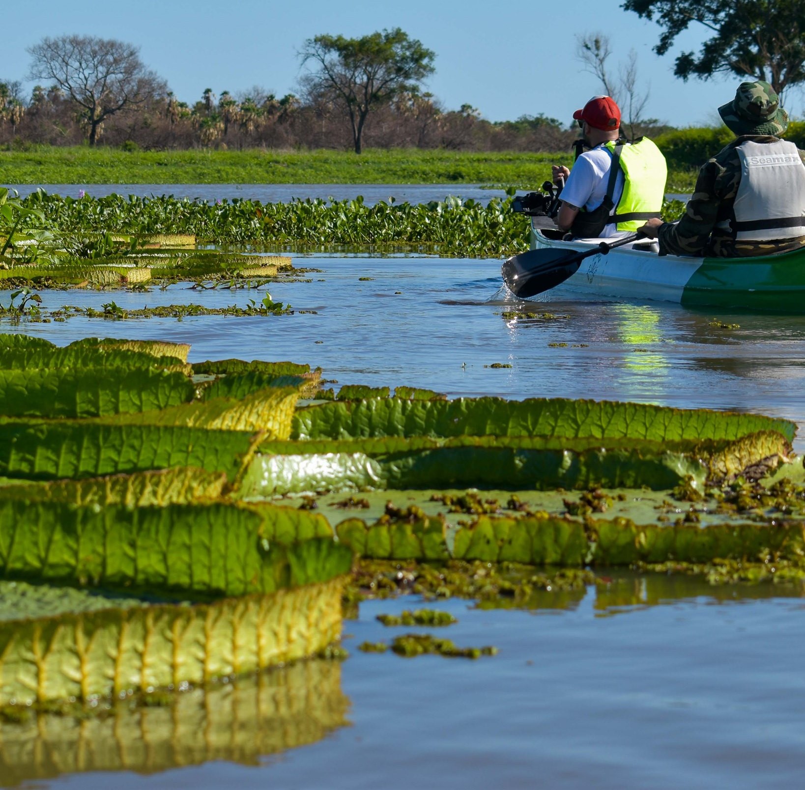 Semana Santa en Corrientes: fe, naturaleza, pesca y turismo de estancias, algunas de las opciones