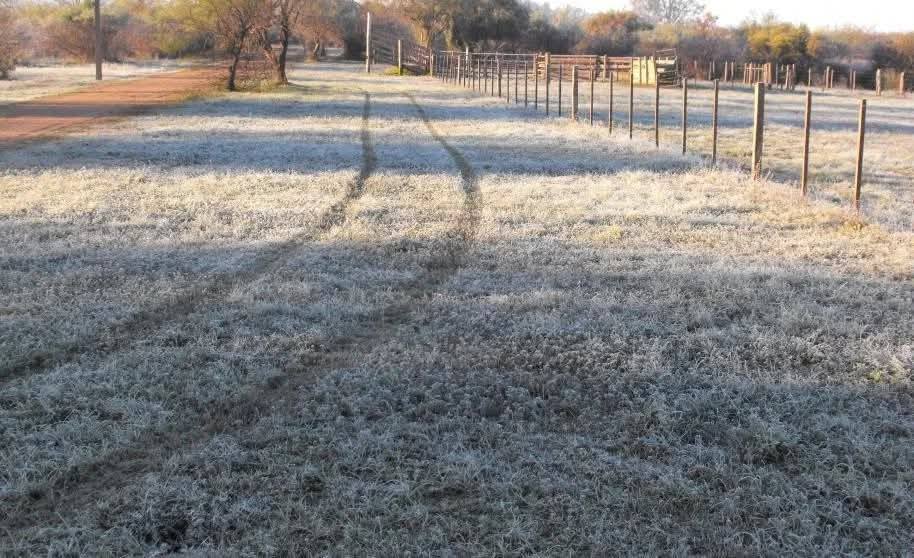 ¡El termómetro se congeló! Heladas en varios puntos de la Provincia de Corrientes