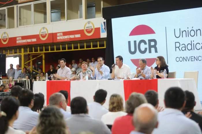 INTERNA PARTIDARIA: Restitución de Colombi en la UCR: "No cambia el cronograma de internas".