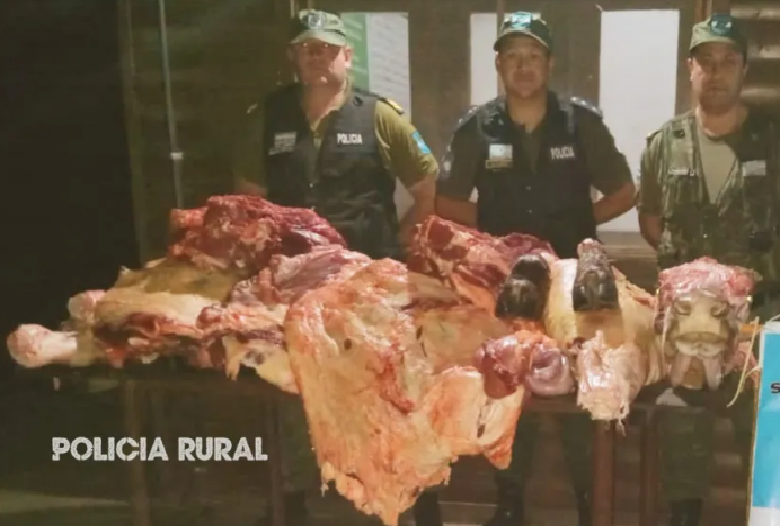 Corrientes: secuestran más de 200 kilos de carne tras una faena clandestina