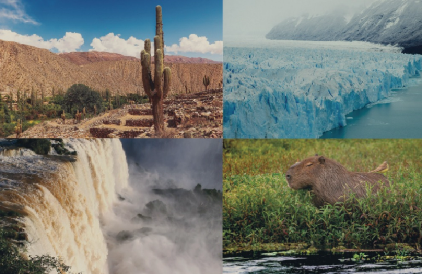 La llegada de turistas extranjeros al país sufrió en septiembre su peor caída anual en seis meses, pese a suba del dólar