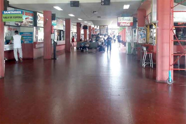 diario primera hora