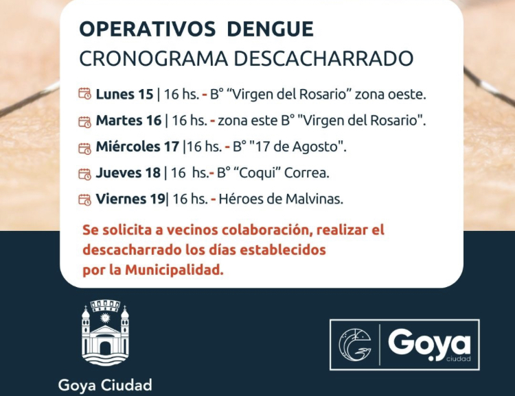 PROGRAMA PREVENTIVO DEL DENGUE