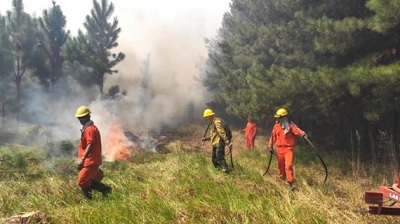 ASOCIACIÓN DE BOMBEROS VOLUNTARIOS RECIBIÓ SUBSIDIO PROVINCIAL