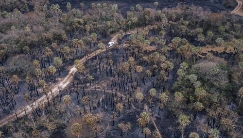 Abrió sus puertas un Parque Provincial en Corrientes luego del gran incendio