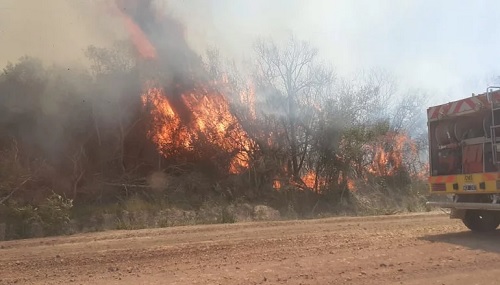 Ardió el Iberá: investigan la quema de 600 hectáreas y los bomberos hacen guardia