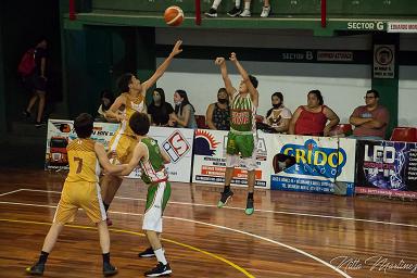 BASQUET_DOM.JPG