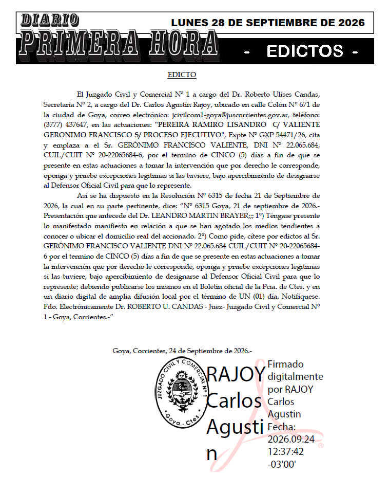 BRAYER DIA 1 UNICO