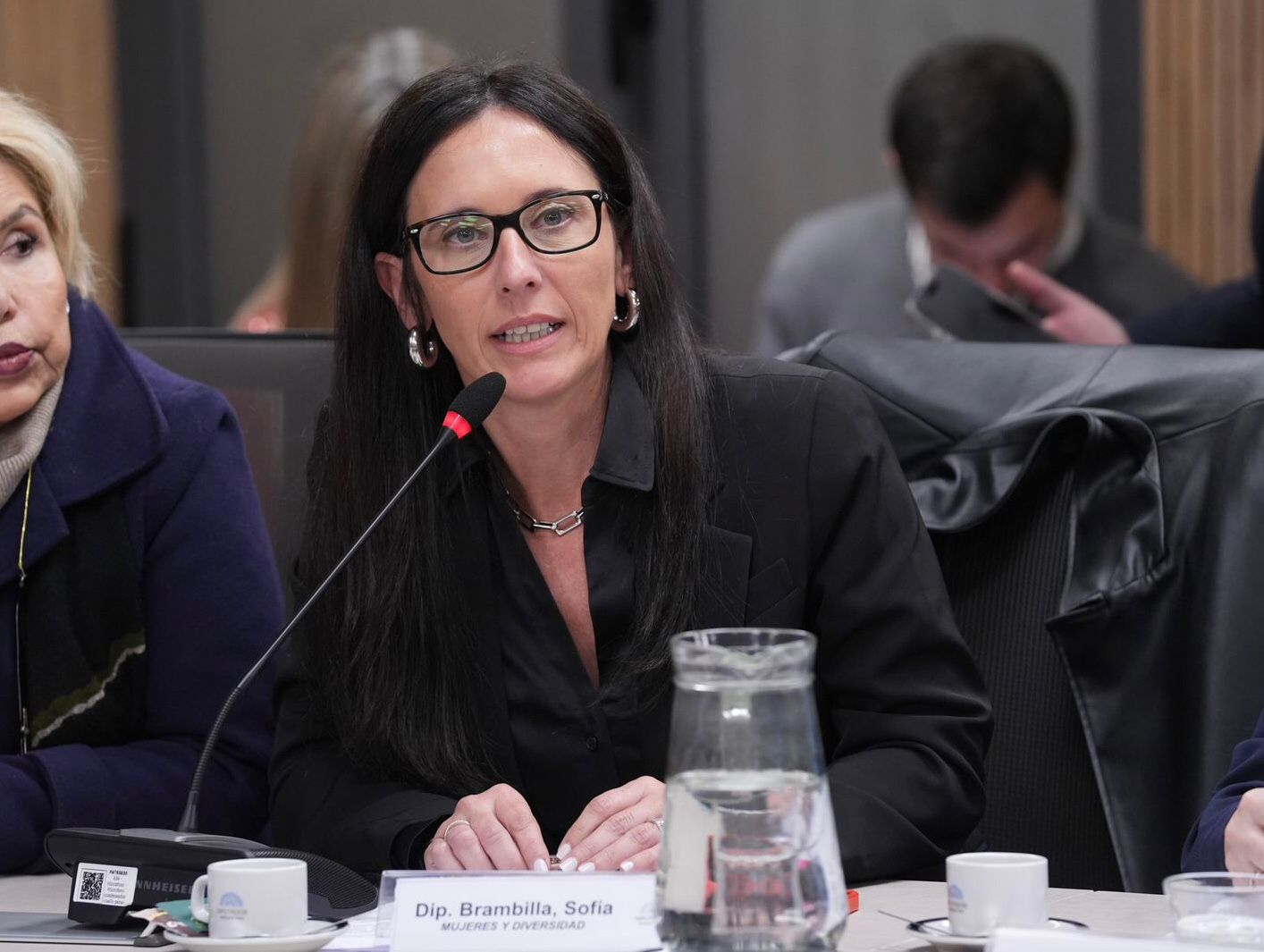 Sofía Brambilla presenta una Ley de Emergencia Vial En respuesta al deterioro de las rutas 12 y 14
