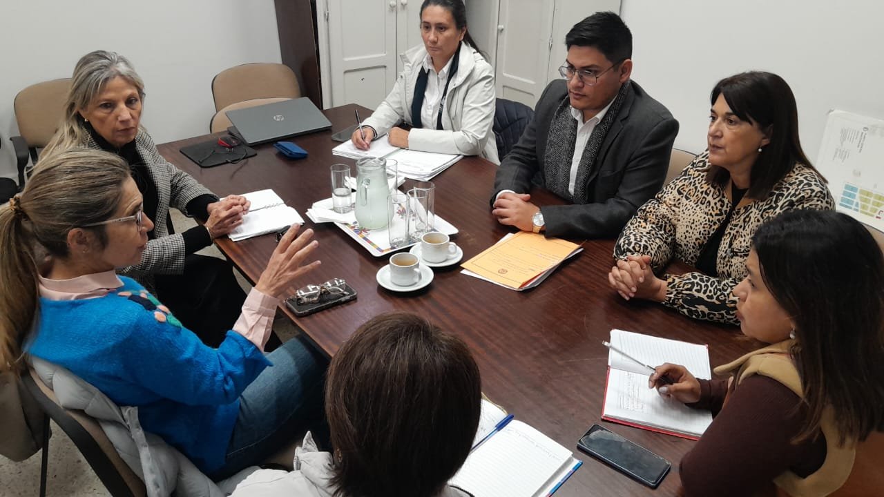 Comisión de Economía recibió a la Subsecretaria de Planeamiento Luisina Leyes